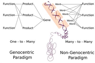 Decoding semiotic minimal genome: a non-genocentric approach
